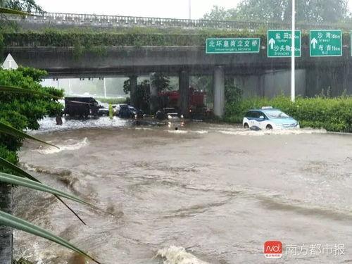 山竹爆料深圳视频最新版,深圳视频版揭秘惊人内幕 第3张 山竹爆料深圳视频最新版,深圳视频版揭秘惊人内幕 第3张